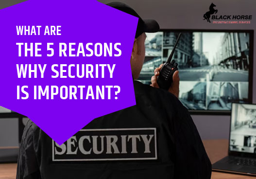 What Are The 5 Reasons Why Security is Important