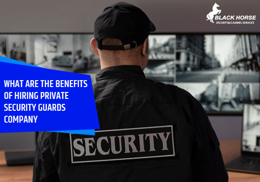 What are the benefits of hiring private security guards company